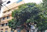 Balak English School (B E S High School) campus