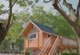 GVK International School campus