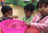 Little Bright Stars Pre School campus