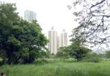 Oberoi International School campus